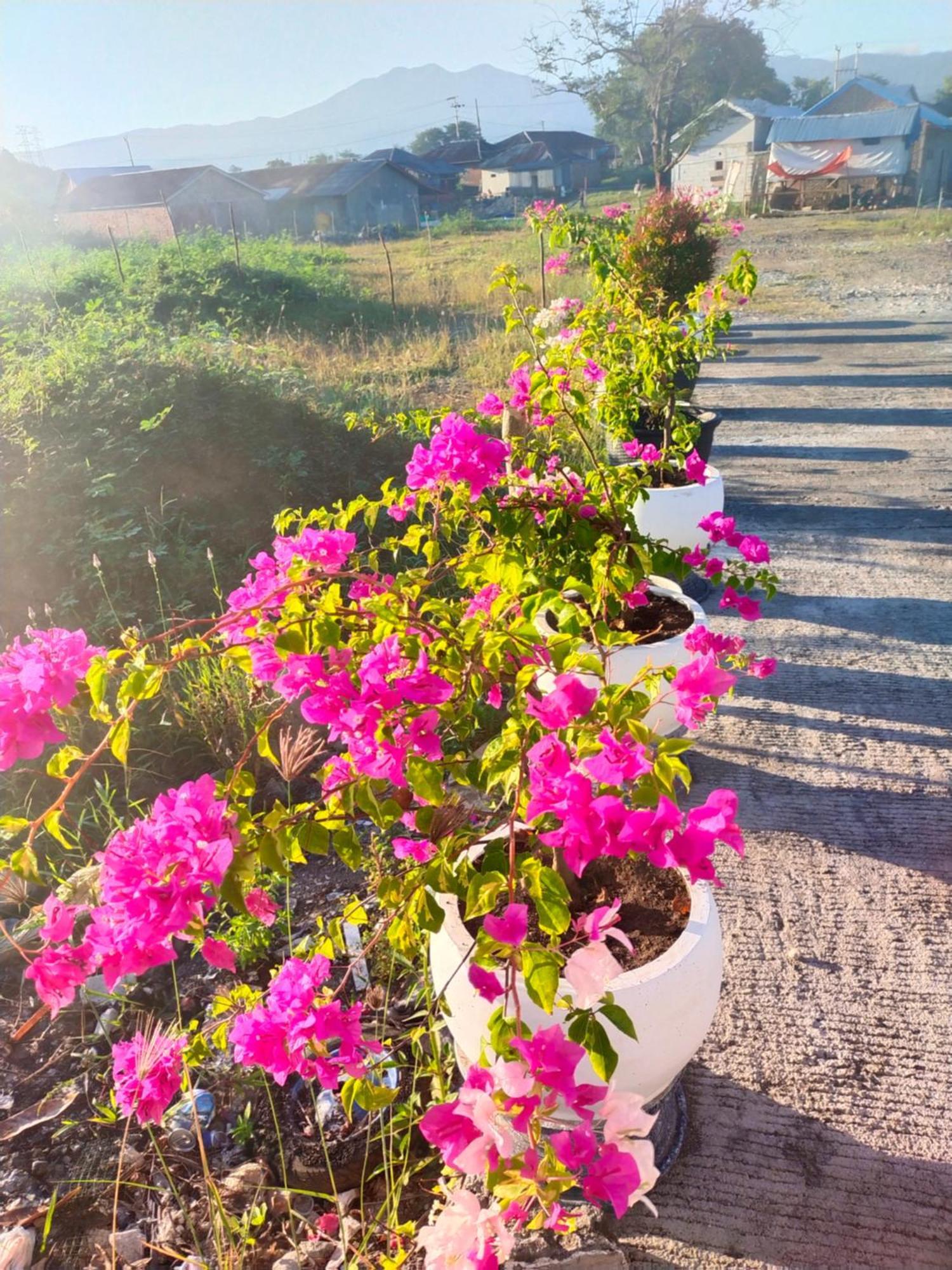 La Geiro Villa Labuan Bajo Eksteriør billede